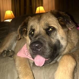 Meet your Posher, Stephanye